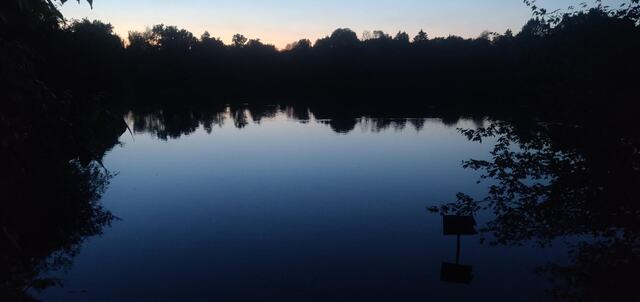 Ruhiger See in der Dämmerung, dunkle Baumsilhouetten am Ufer